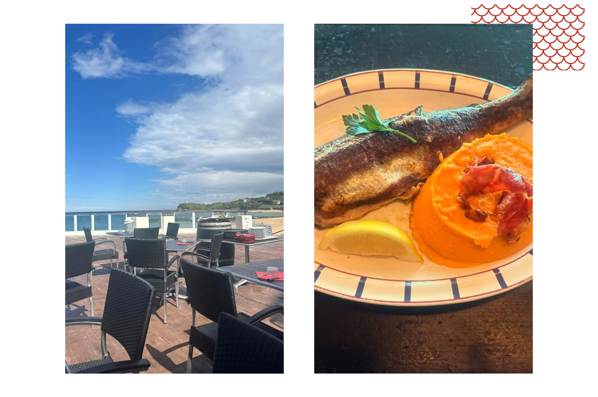 Restaurant Le Prado - restaurant SAINT-JEAN-DE-LUZ - meilleur resto SAINT-JEAN-DE-LUZ