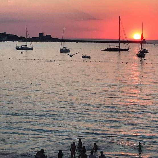 Restaurant Le Prado - restaurant SAINT-JEAN-DE-LUZ - Restaurant St-Jean-de-Luz