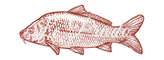 Restaurant Le Prado